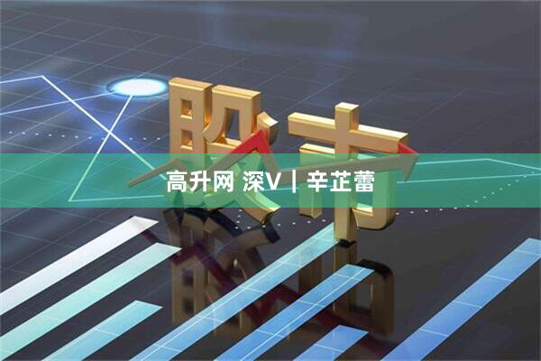 高升网 深V｜辛芷蕾