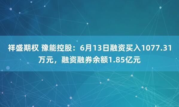 祥盛期权 豫能控股：6月13日融资买入1077.31万元，融资融券余额1.85亿元