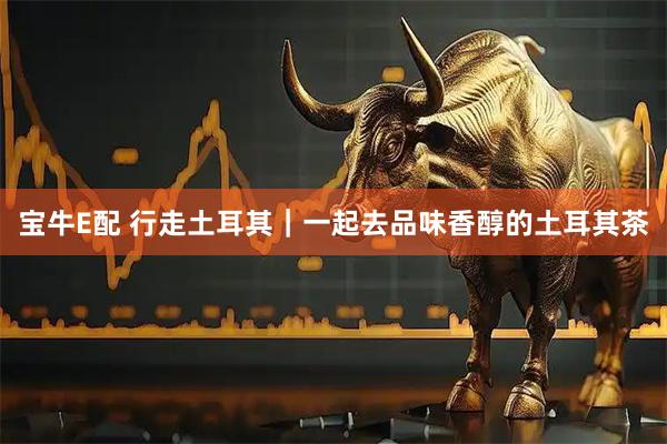 宝牛E配 行走土耳其｜一起去品味香醇的土耳其茶